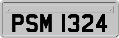 PSM1324