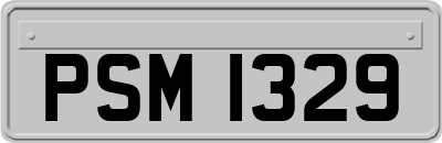 PSM1329