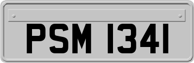 PSM1341