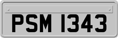 PSM1343