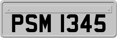 PSM1345