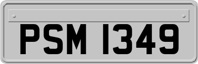PSM1349