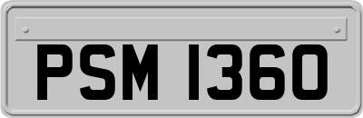 PSM1360