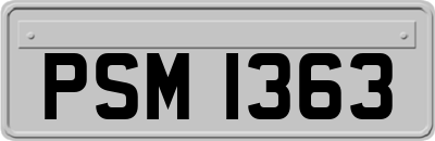 PSM1363