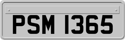 PSM1365