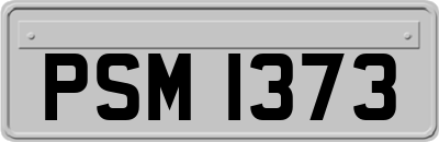 PSM1373