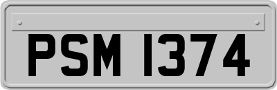 PSM1374