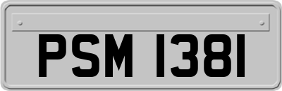 PSM1381