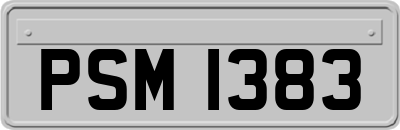 PSM1383