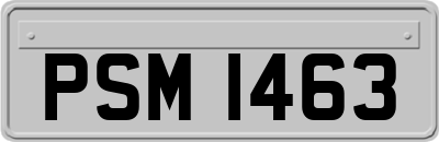 PSM1463
