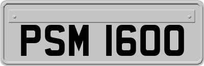 PSM1600