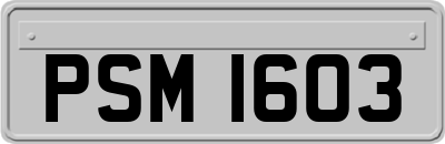 PSM1603