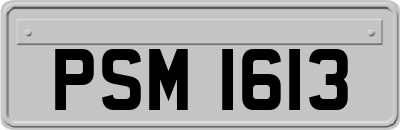 PSM1613
