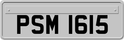 PSM1615