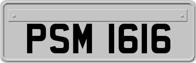 PSM1616