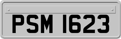 PSM1623
