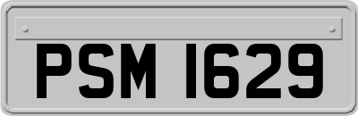 PSM1629