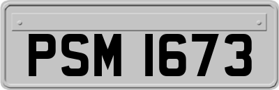 PSM1673