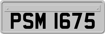 PSM1675