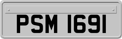 PSM1691