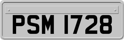 PSM1728