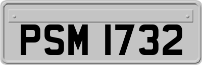 PSM1732