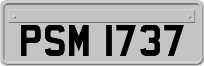 PSM1737