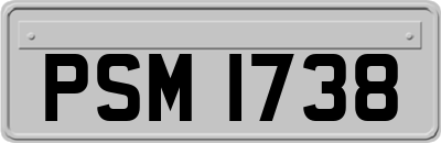PSM1738