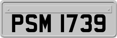 PSM1739