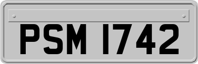 PSM1742