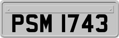 PSM1743