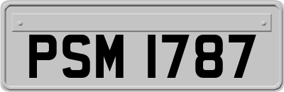 PSM1787