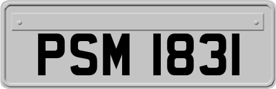 PSM1831