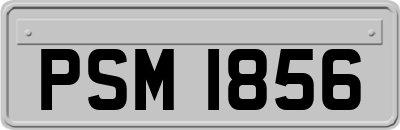 PSM1856