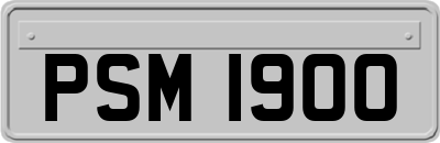 PSM1900