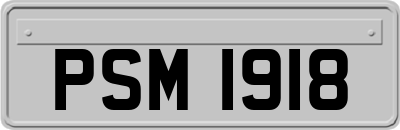 PSM1918
