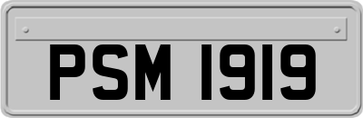 PSM1919