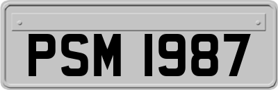 PSM1987