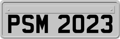 PSM2023