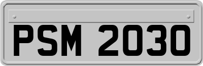 PSM2030