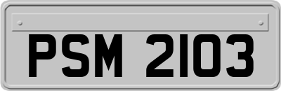 PSM2103