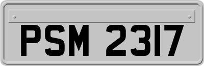 PSM2317