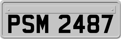 PSM2487