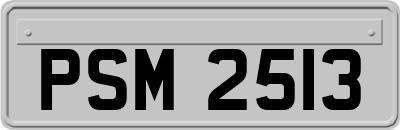 PSM2513