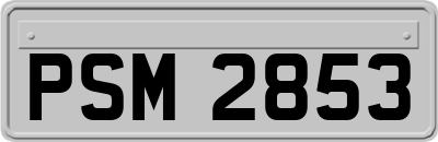 PSM2853