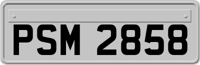 PSM2858