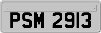 PSM2913