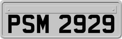 PSM2929