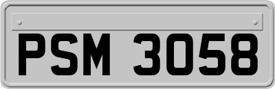 PSM3058