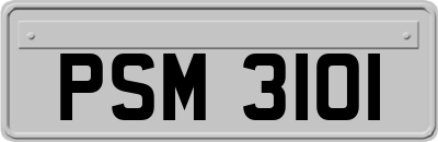 PSM3101